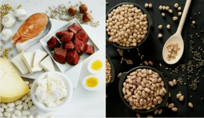 Exemplos de produtos dietéticos de proteínas